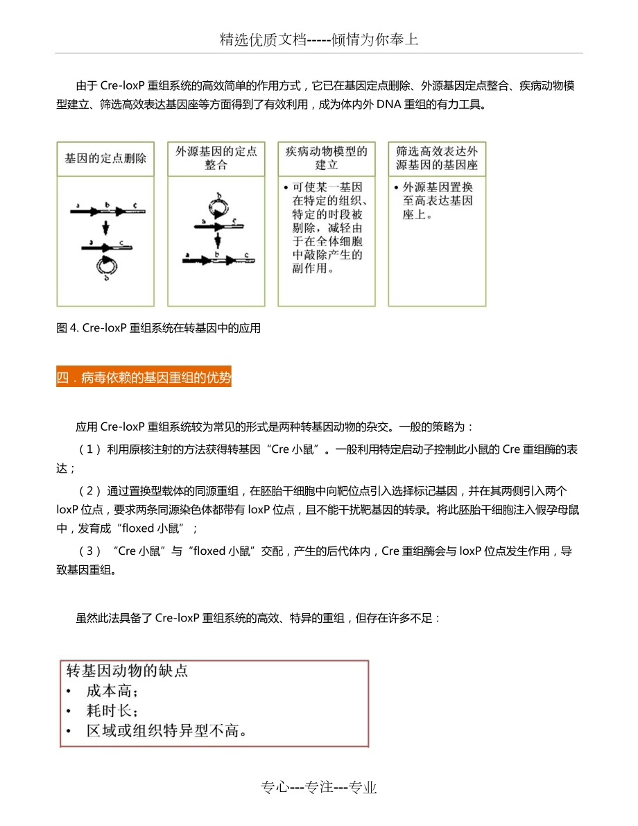 维真生物-Cre重组系统.doc_第3页