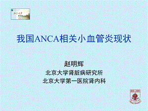 药物诱发的ANCA阳性血管炎课件.ppt