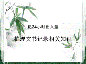 记小时出入量护理文书书写规范课件.ppt