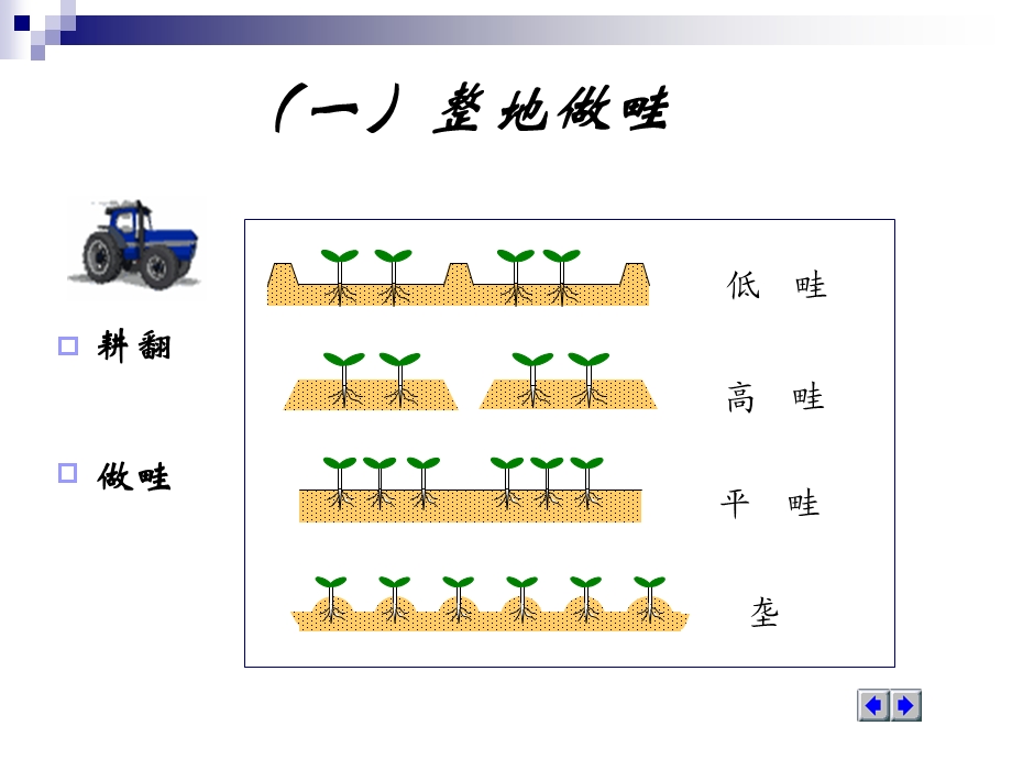 蔬菜田间管理技术课件.ppt_第3页