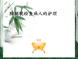 膀胱镜检查护理课件.ppt