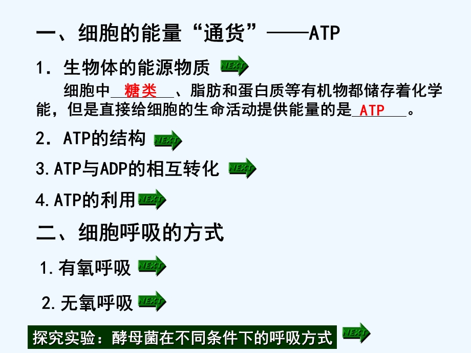 讲——细胞的能量“通货”ATP、及ATP的主要来源——细胞呼吸课件.ppt_第2页