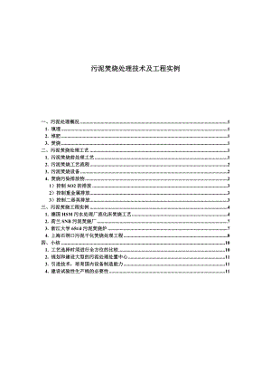 污泥焚烧处理工艺.doc