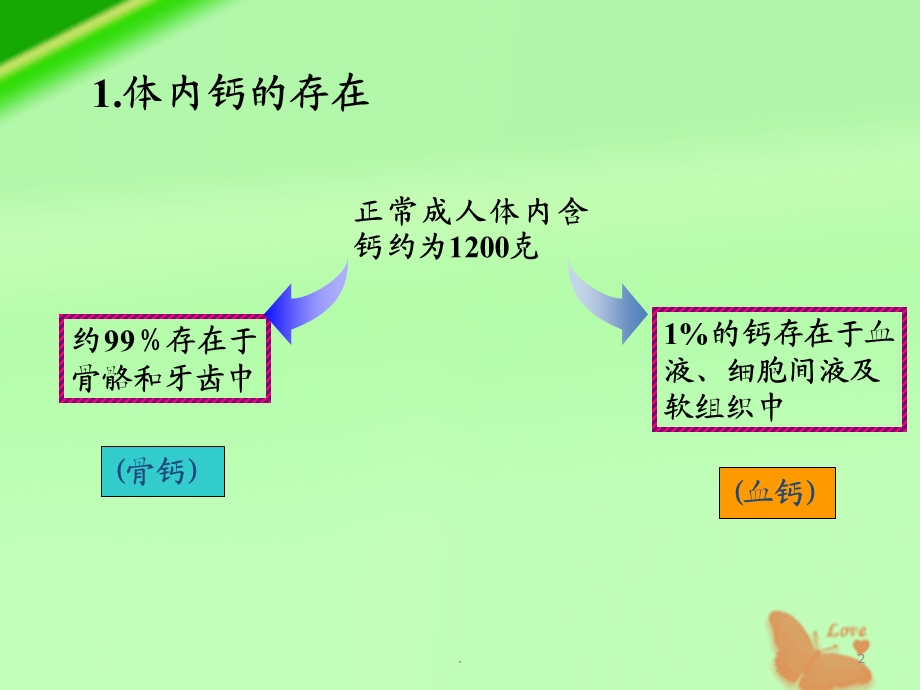 钙与补钙课件.ppt_第2页