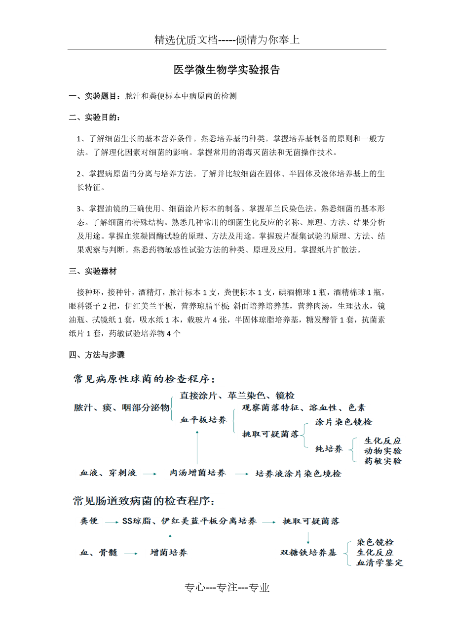 微生物脓汁粪便实验报告.docx_第1页