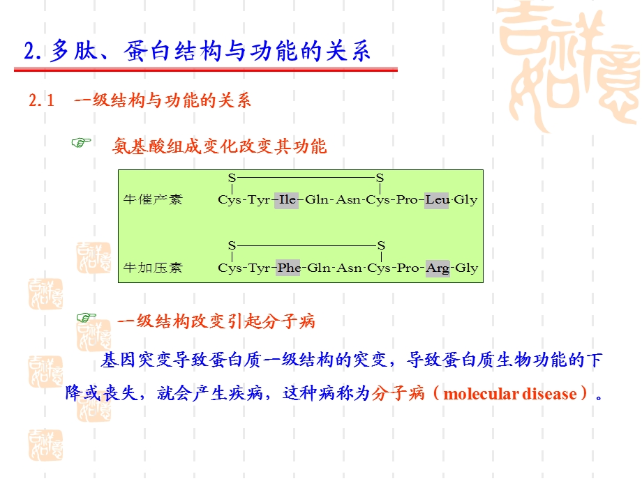 蛋白质应用课件.ppt_第3页