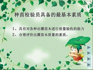 苗木质量标准课件.ppt