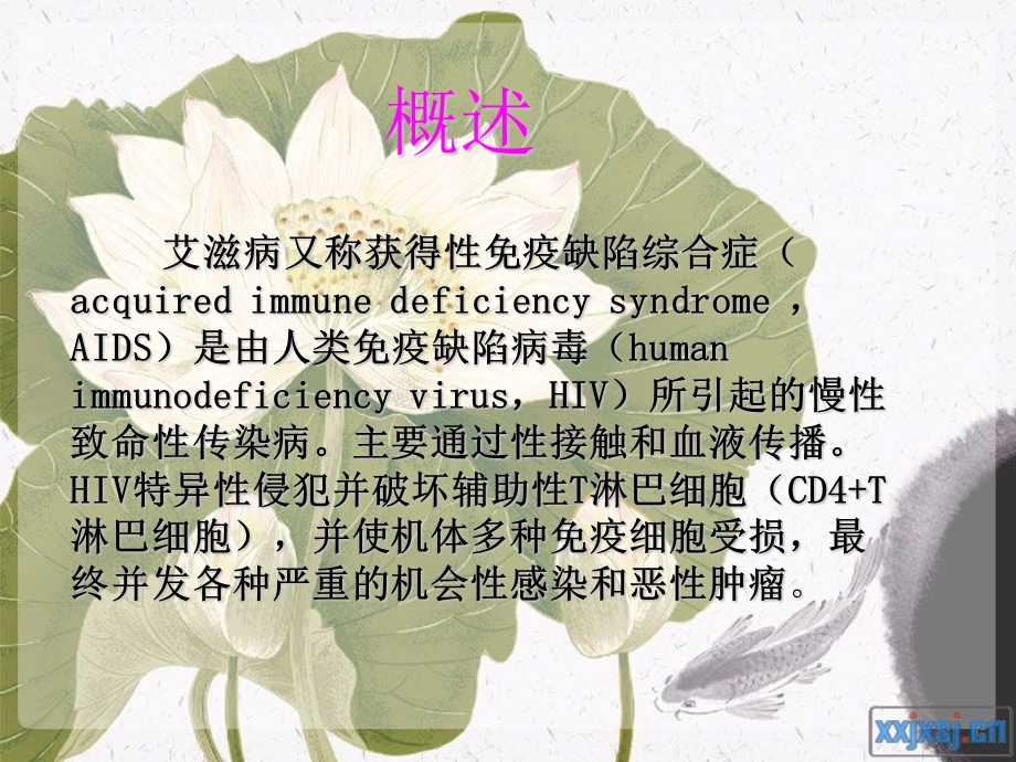 艾滋病患者护理查房课件.ppt_第3页