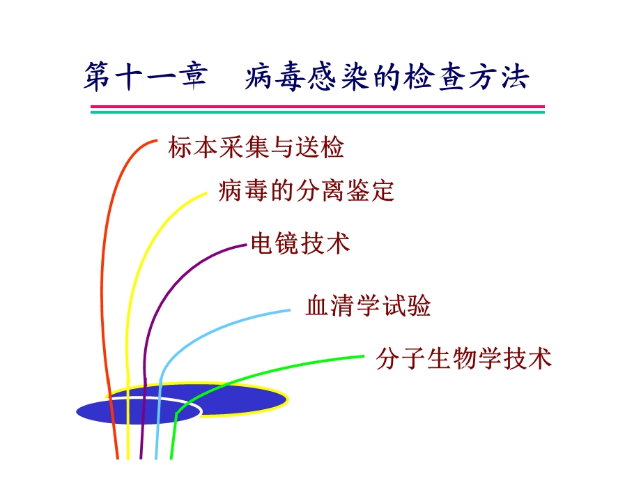 病毒感染的检查方法课件.ppt_第1页