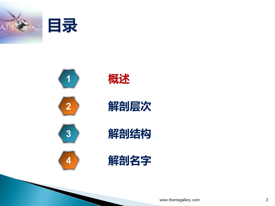 腹股沟区的解剖课件.ppt_第2页