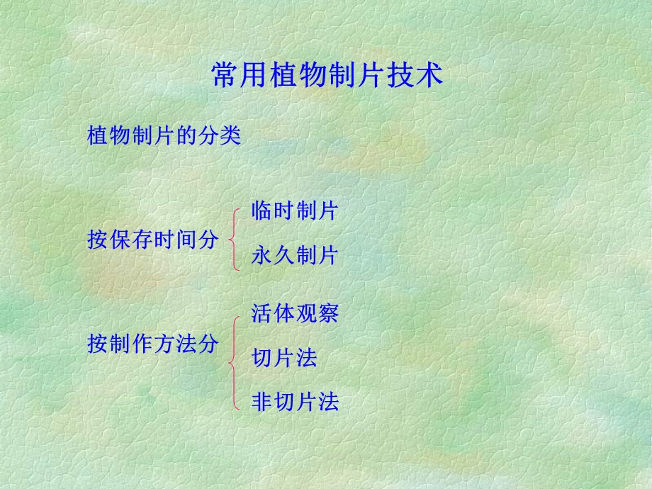 植物显微技术课件.ppt_第3页