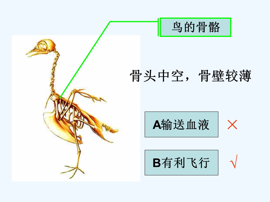 教科版小学科学六年级上册《原来是相互关联的》优质课教学ppt课件.ppt_第3页