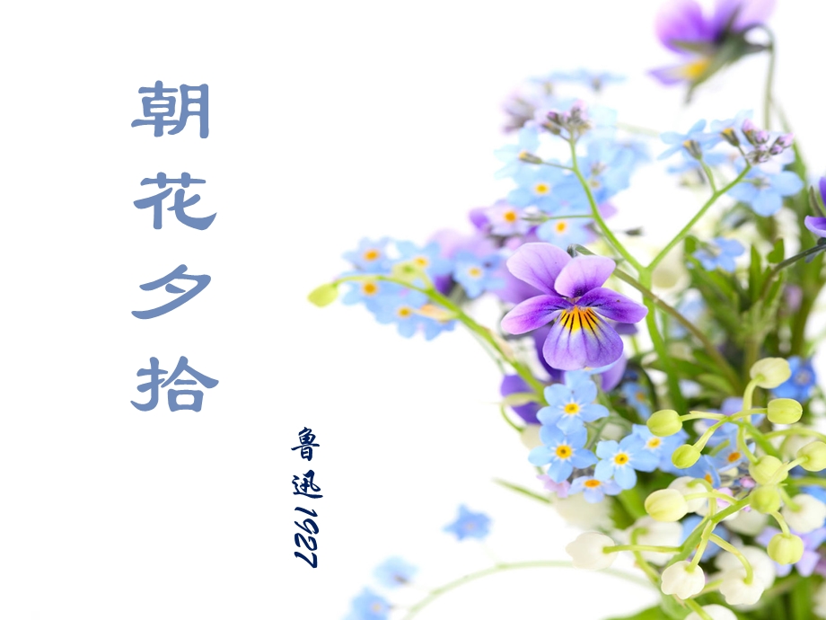 朝花夕拾课件人教版.ppt_第1页