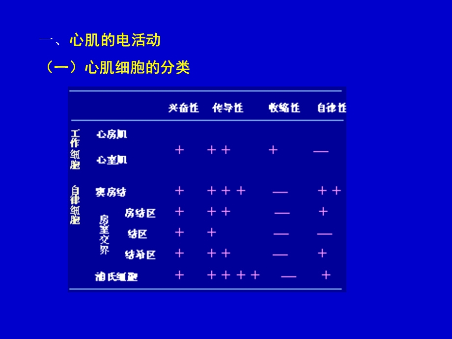 第九章血液循环课件.ppt_第3页