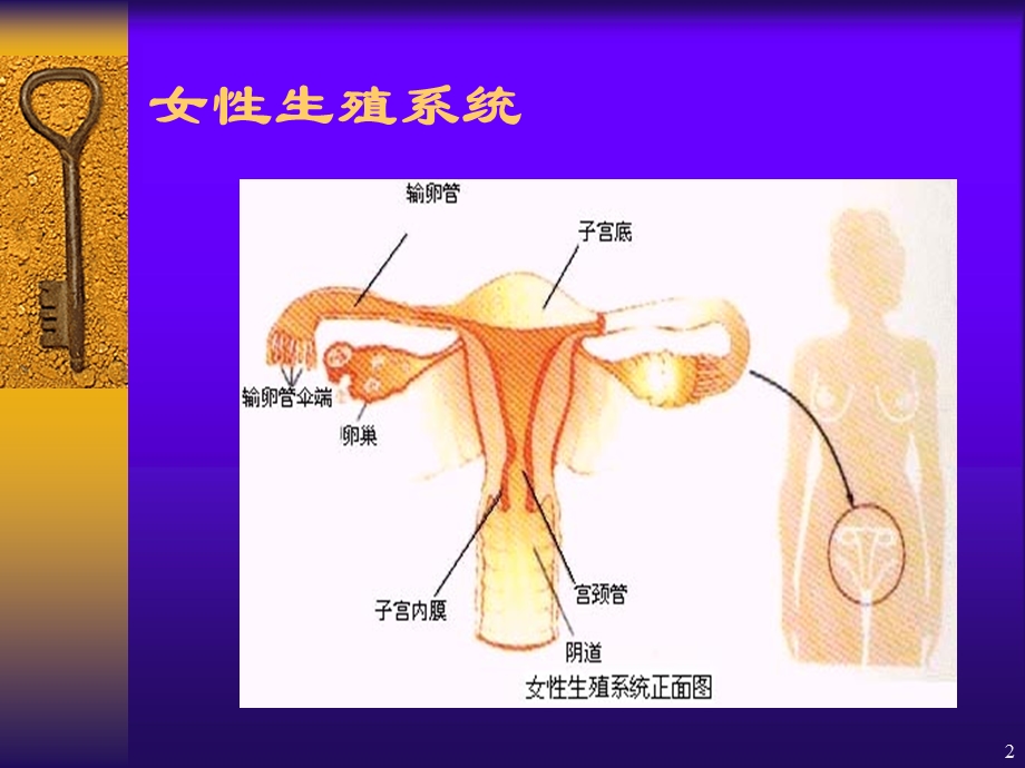 疾病百科系列不孕不育课件.ppt_第2页