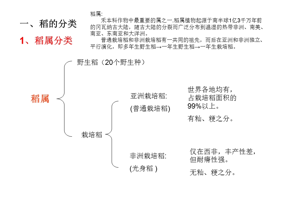 水稻品种类型及识别课件.pptx_第2页