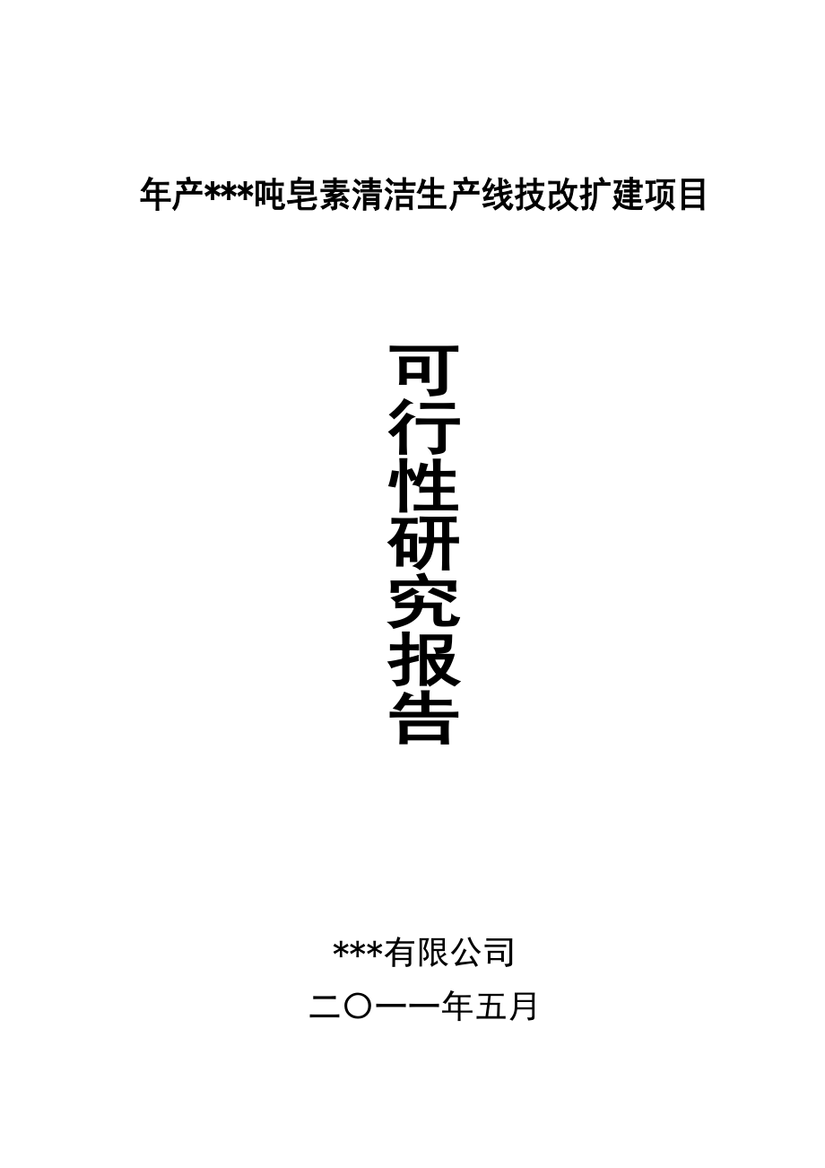 皂素清洁生产线技改扩建项目可行性报告.doc_第1页