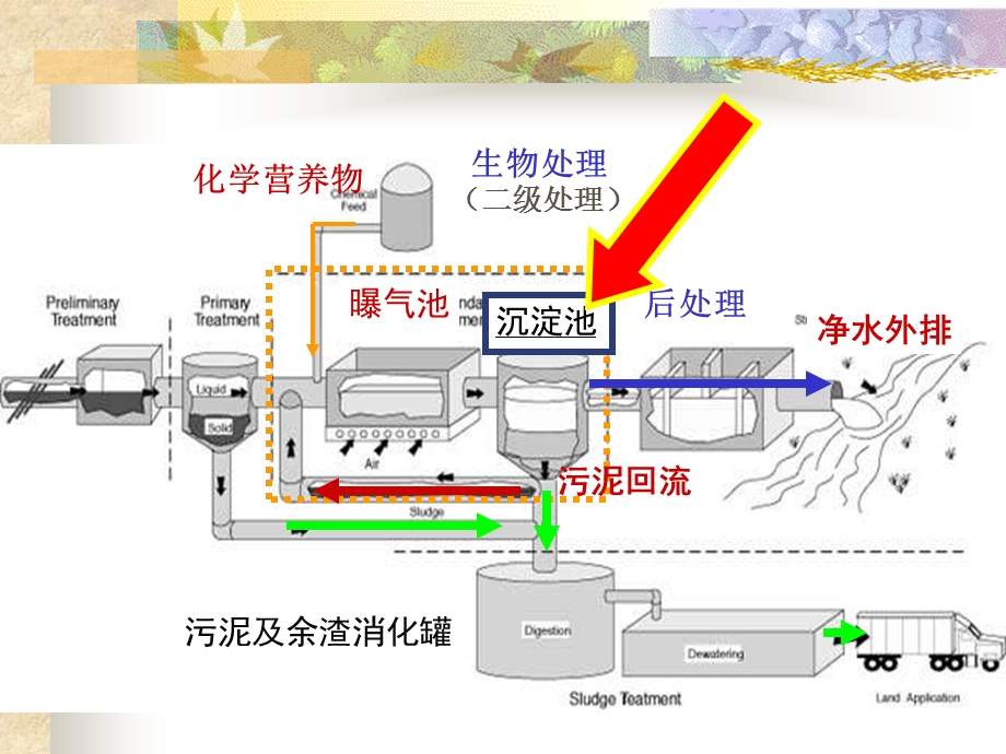 活性污泥丝状膨胀方案课件.ppt_第1页