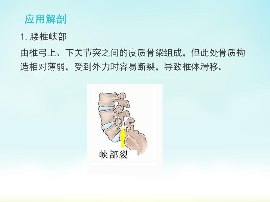 腰椎滑脱症选编课件.ppt_第3页