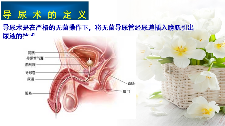 导尿操作流程医学课件.ppt_第3页