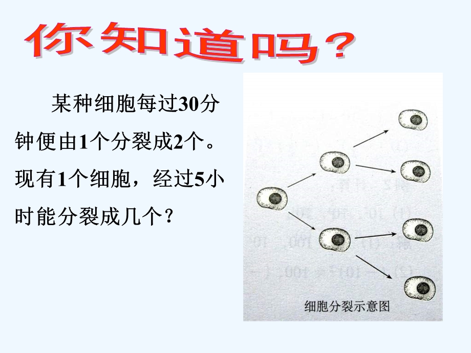 浙教版数学七上2.5《有理数的乘方》课件.ppt_第2页