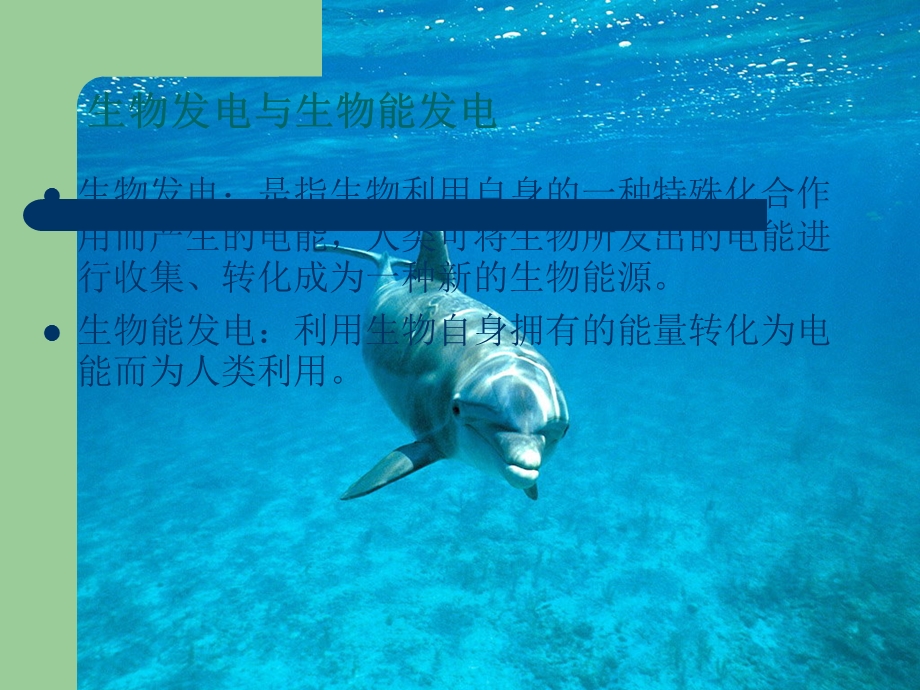 生物能发电介绍课件.ppt_第2页