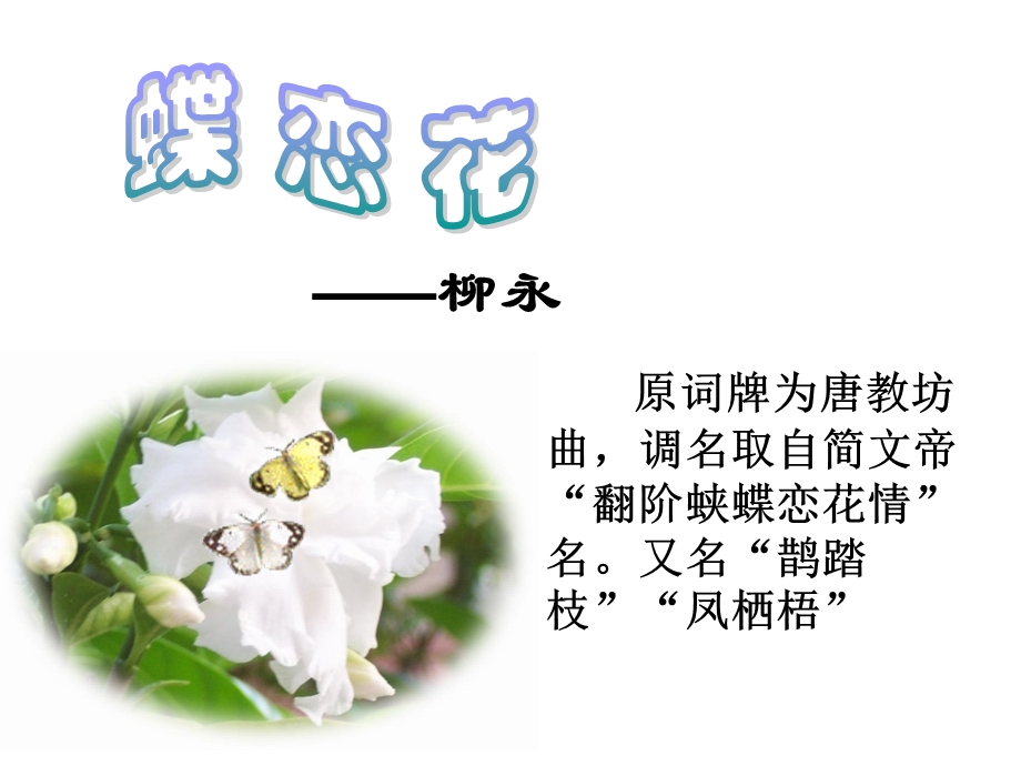 柳永蝶恋花课件.ppt_第1页