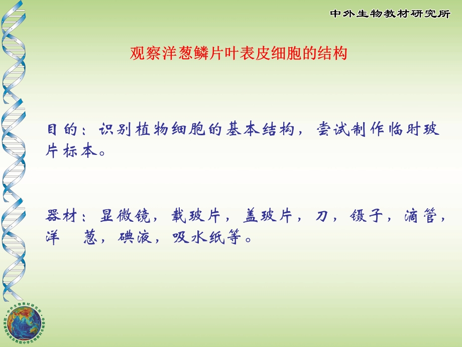 植物细胞结构和功能课件.ppt_第1页