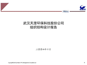 某环保科技股份公司组织结构设计报告课件.ppt