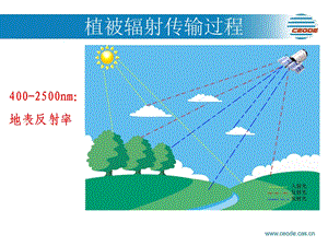 植被遥感上机课程植被辐射传输模型课件.ppt