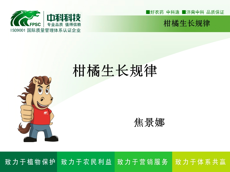 柑橘生长规律课件.ppt_第1页