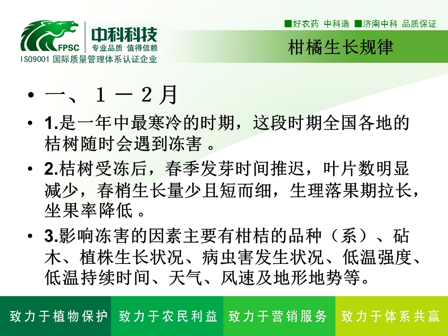 柑橘生长规律课件.ppt_第2页