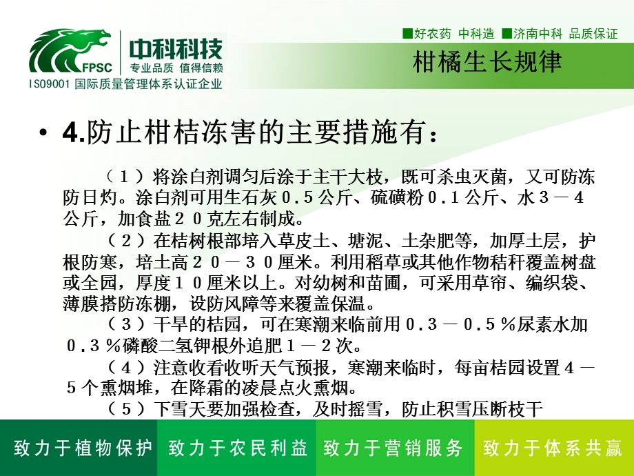 柑橘生长规律课件.ppt_第3页