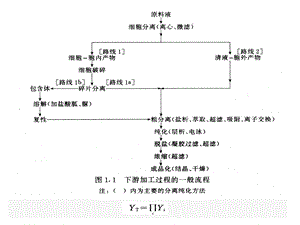 生物分离工程-第5章初级分离课件.ppt