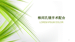 椎间孔镜手术配合ppt课件.ppt