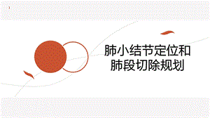 肺小结节定位和肺段切除规划学习ppt课件.ppt