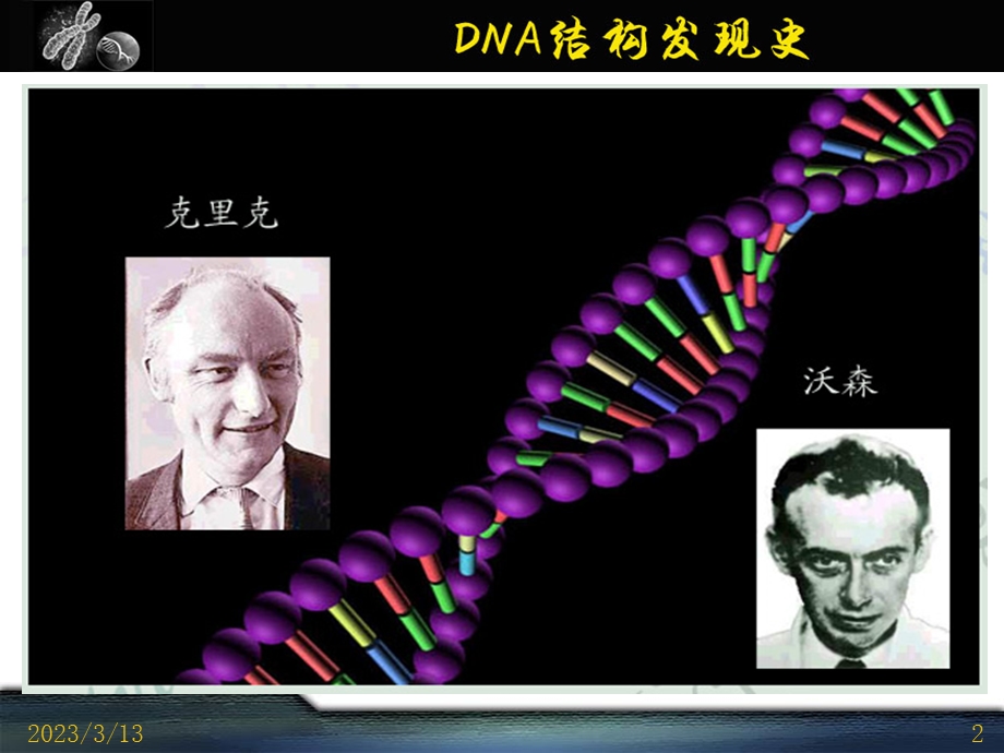 富兰克林和威尔金斯正式分道扬镳课件.ppt_第2页