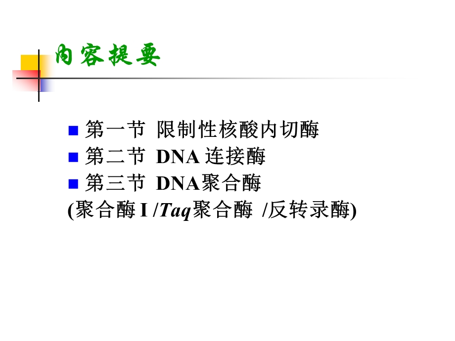 第二章各种工具酶课件.ppt_第2页