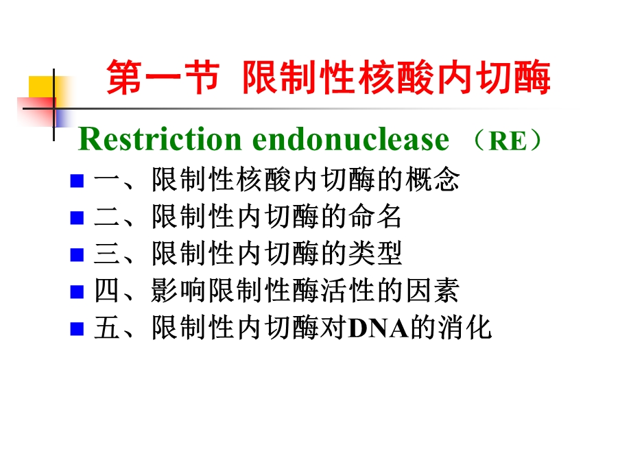 第二章各种工具酶课件.ppt_第3页