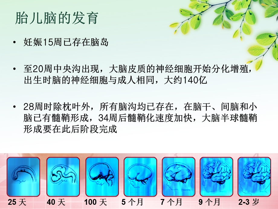 新生儿发育支持护理讲义课件.ppt_第2页