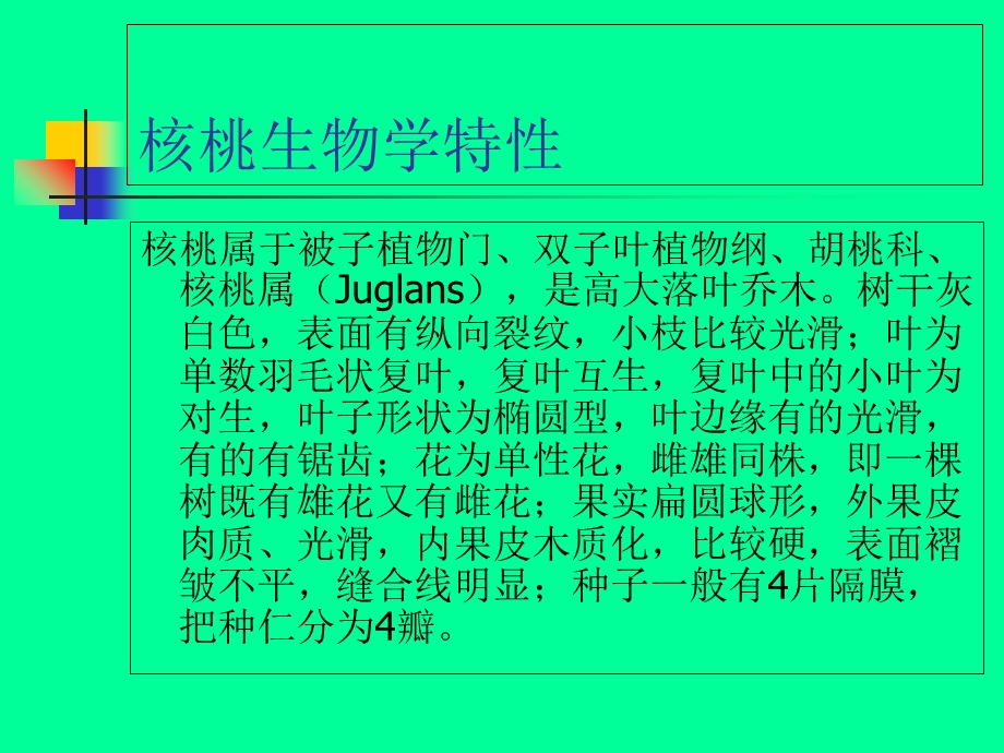 核桃栽培技术课件.ppt_第3页