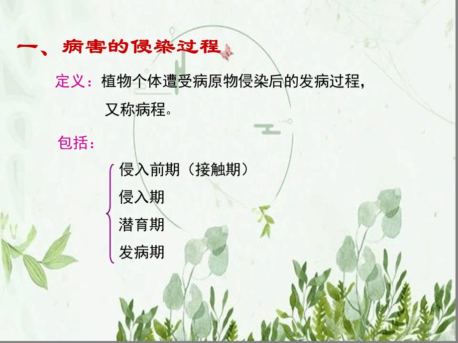 植物病害的侵染过程及侵染循环-图文课件.ppt_第3页