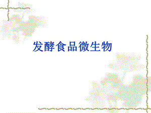 明串珠菌属课件.ppt