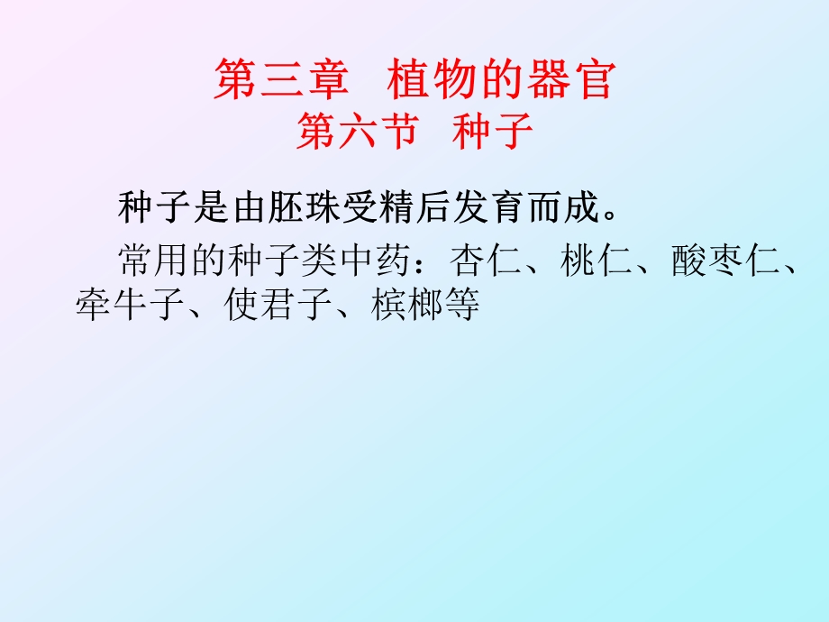 植物的器官-种子分析课件.ppt_第3页