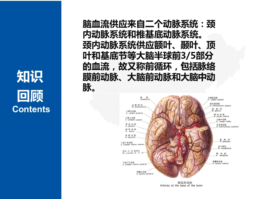 脑梗死的病因课件.ppt_第2页