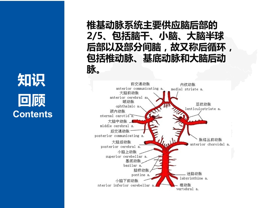 脑梗死的病因课件.ppt_第3页