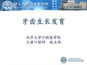 牙齿正常发育及发育异常课件.ppt