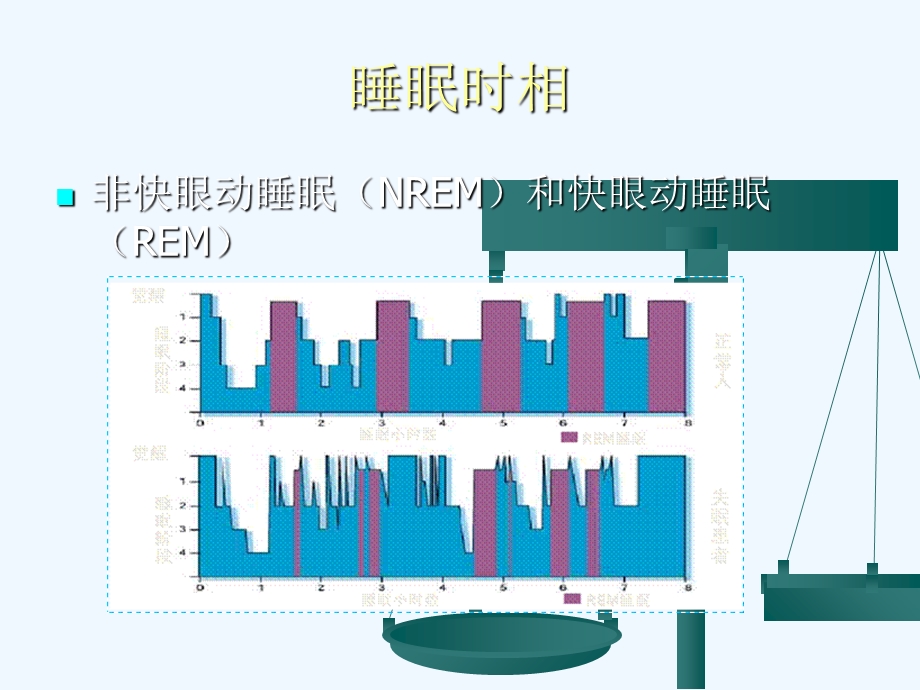 睡眠与睡眠障碍课件.ppt_第3页