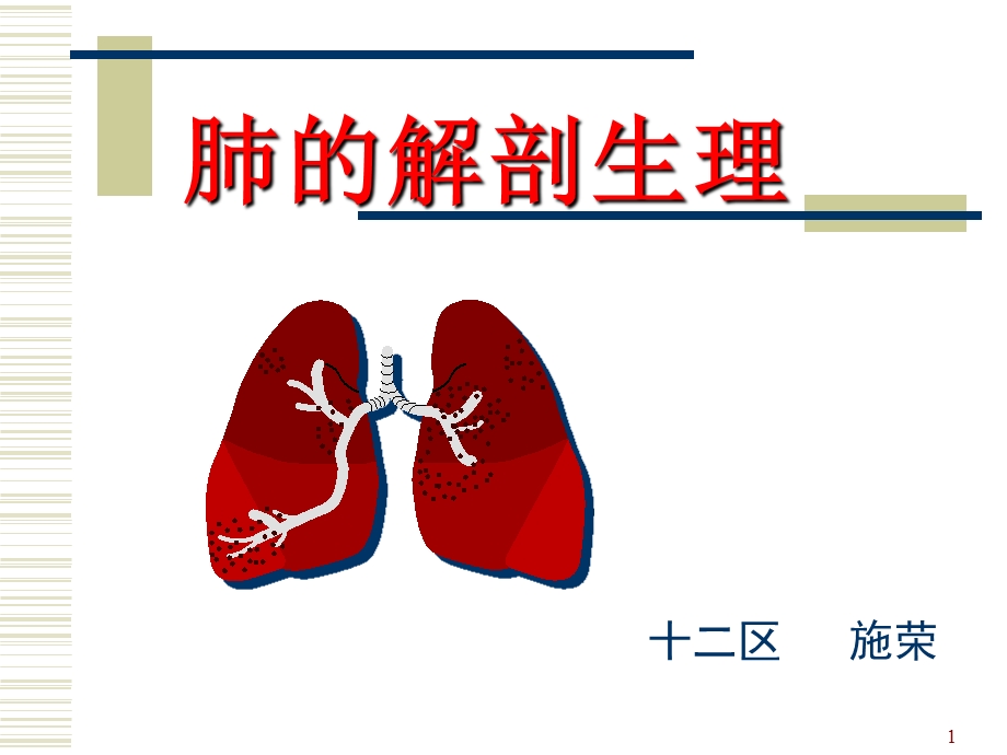 肺的解剖和生理分析课件.ppt_第1页