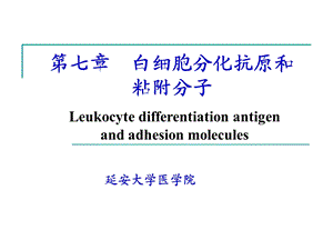 白细胞分化抗原和粘附分子课件.ppt